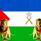 صورة الملف الشخصي